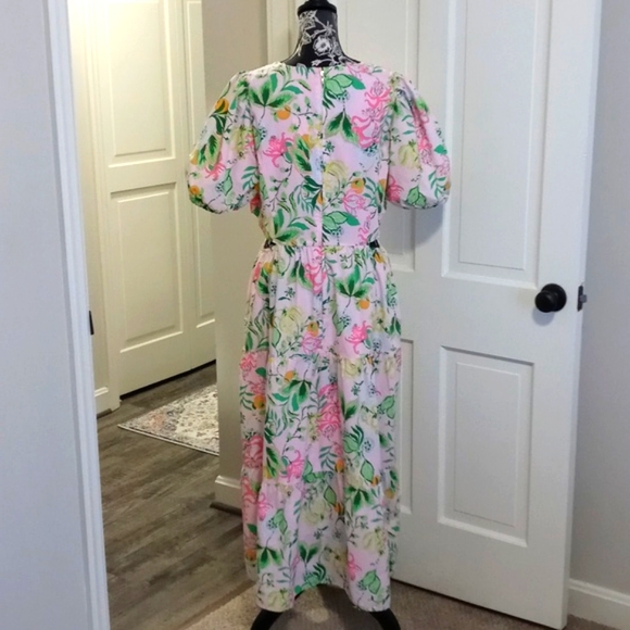 🆕️ 🦜HTF Lilly Pulitzer🦜 - Lyssa Short Sleeve Cotton Midi Dress - Picture 3 of 16